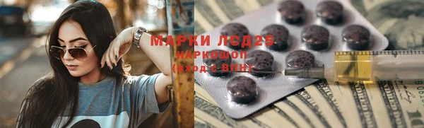 ГАЛЛЮЦИНОГЕННЫЕ ГРИБЫ Баксан