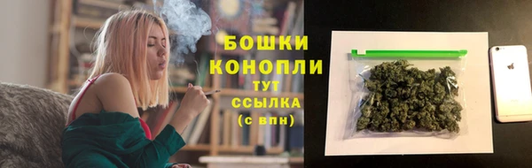 ГАЛЛЮЦИНОГЕННЫЕ ГРИБЫ Баксан