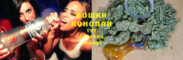 ГАЛЛЮЦИНОГЕННЫЕ ГРИБЫ Баксан