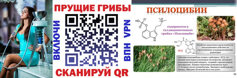 Галлюциногенные грибы GOLDEN TEACHER  Скопин 